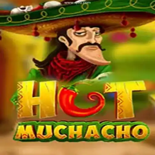 Explore the Thrilling World of HotMuchacho at Q8Q Cassino